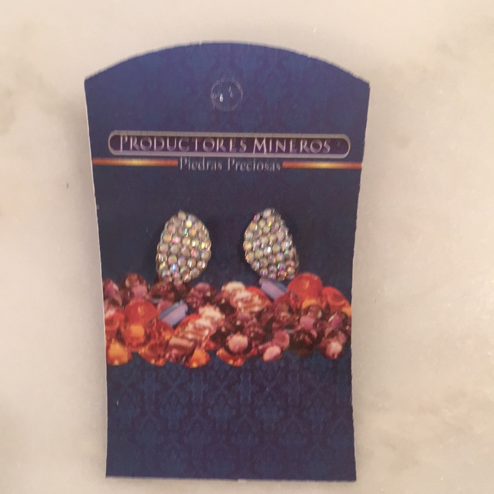 Young Girls or Women’s Earrings